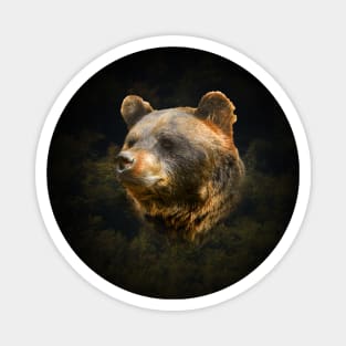 Brown bear Magnet